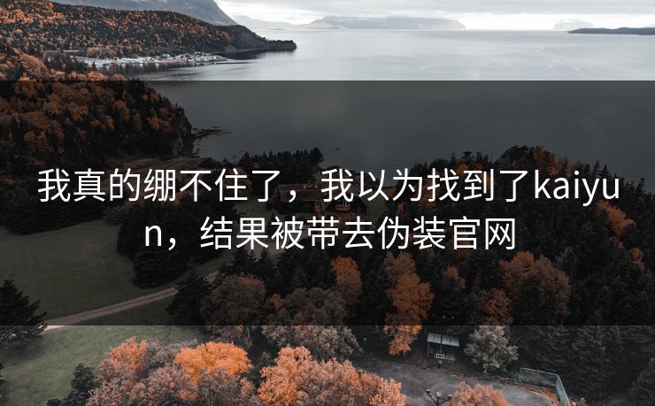 我真的绷不住了，我以为找到了kaiyun，结果被带去伪装官网
