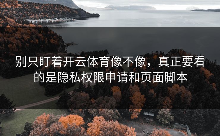 别只盯着开云体育像不像，真正要看的是隐私权限申请和页面脚本